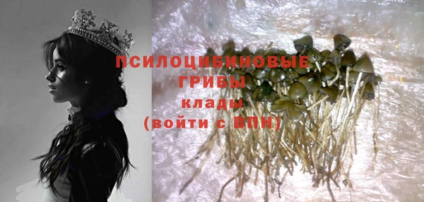 прущие крисы Карпинск