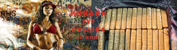 прущие крисы Карпинск